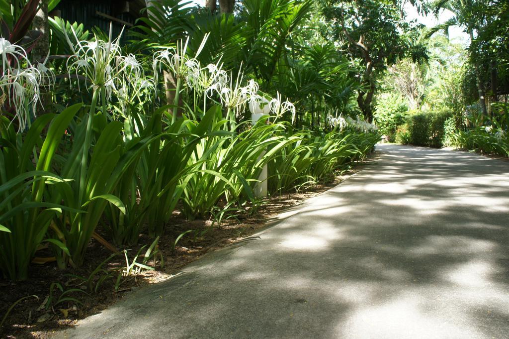 Palm Village Rawai Екстериор снимка