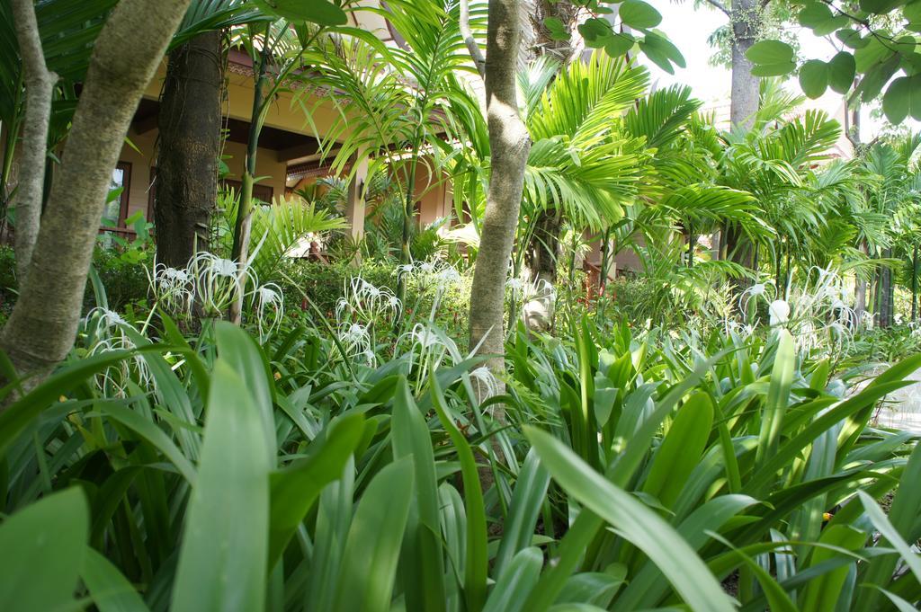 Palm Village Rawai Екстериор снимка